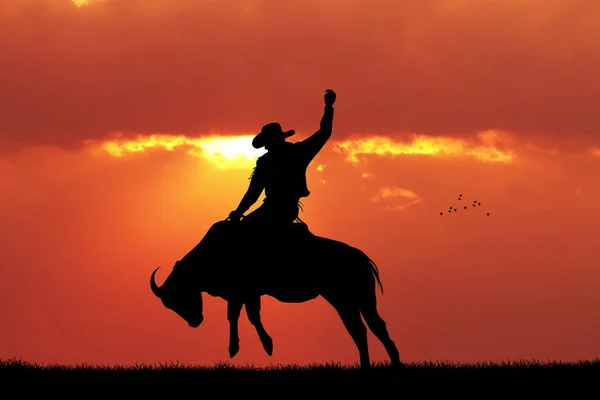 Bull rider bij zonsondergang — Stockfoto