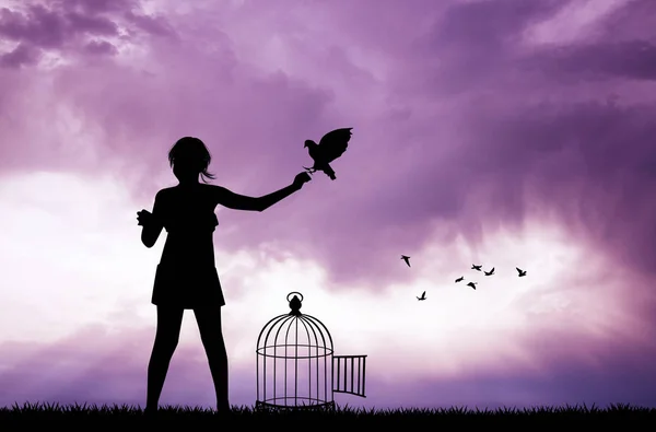 Girl and bird cage at sunset — Stock Photo, Image