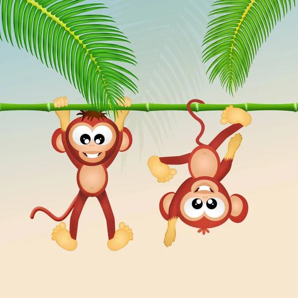 Monos en el bosque — Foto de Stock