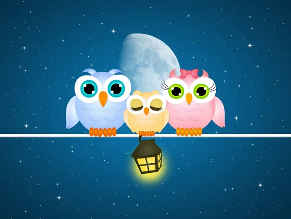 Cute owls on wire — Stock Photo, Image