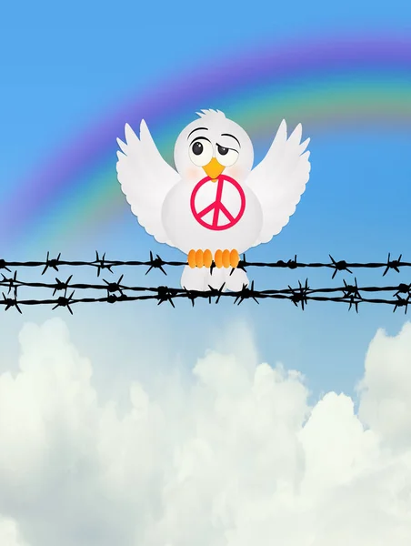 Taube mit Friedenszeichen auf dem Stacheldraht — Stockfoto