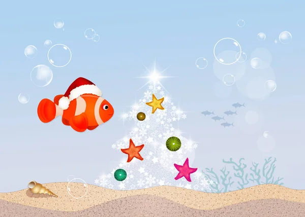 Рыба-клоун на Рождество — стоковое фото
