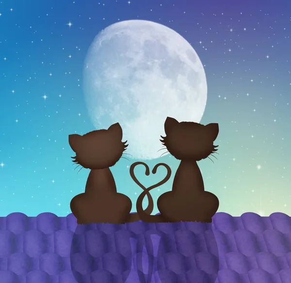 Cats in love on roof — Stock Photo, Image