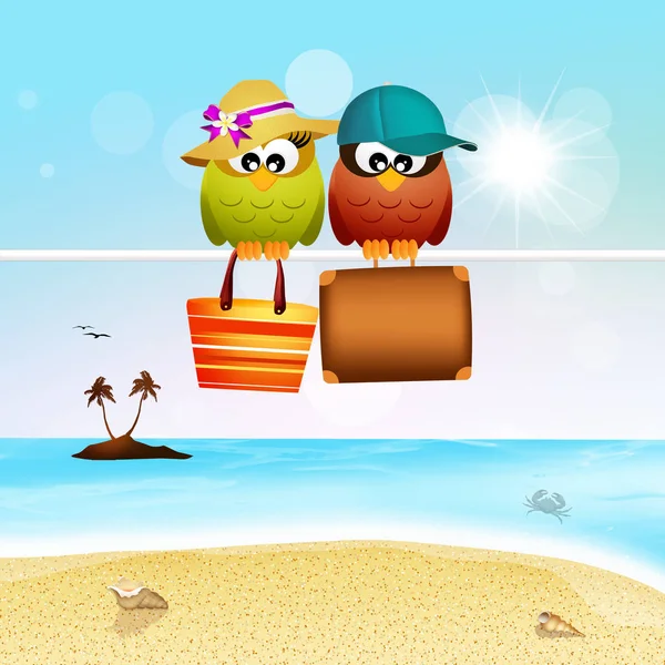 Owls go on vacation — Stock Photo, Image