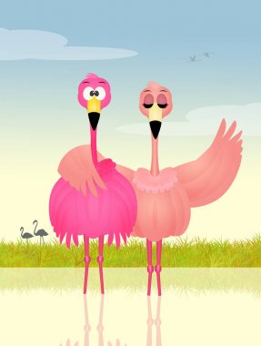 aşık pembe flamingolar