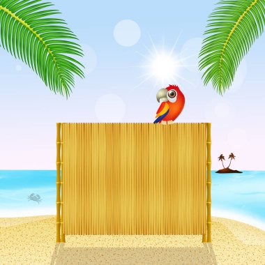 şemsiye bambu üstünde papağan