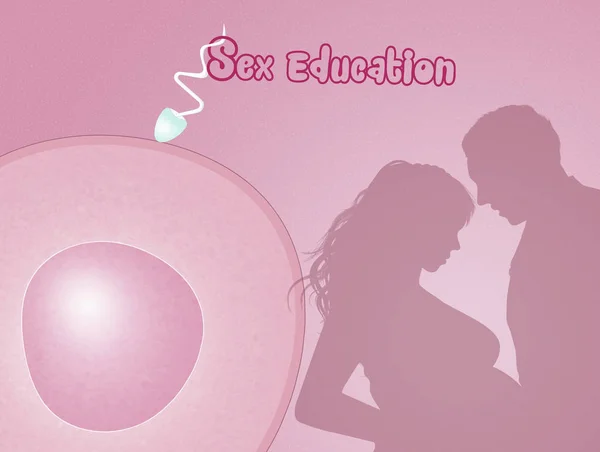 ภาพประกอบของการศึกษาทางเพศ — ภาพถ่ายสต็อก