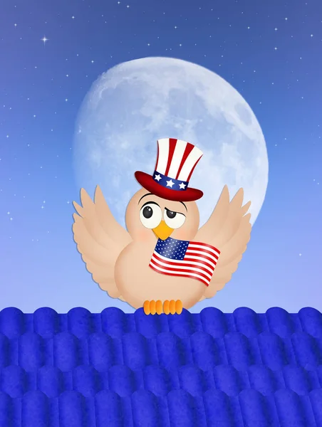 bird with American flag on roof