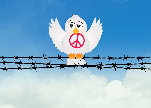 Dove with peace sign on wire — Stock Photo, Image