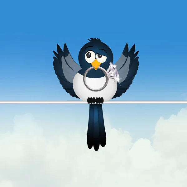 Magpie with jewel — Stock Photo, Image