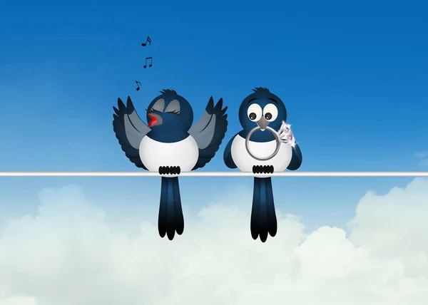Illustration of two magpies — Stock Photo, Image