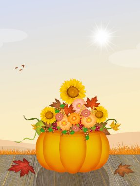 Ayçiçeği balkabağı içinde