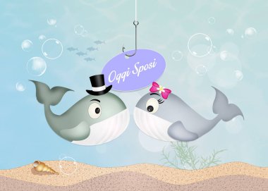 Balinaların düğün