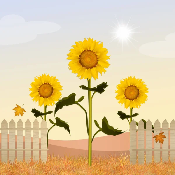 Illustration of sunflowers field — Stock Photo, Image