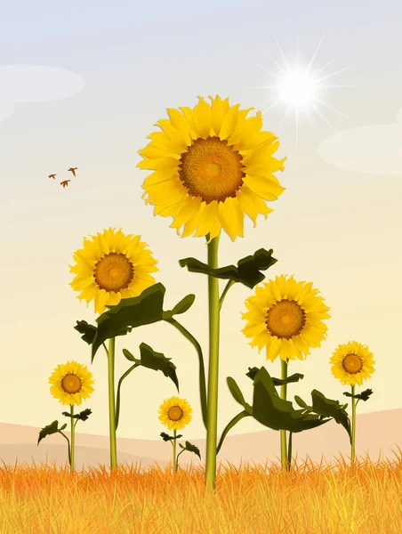 Illustration of sunflowers field — Stock Photo, Image