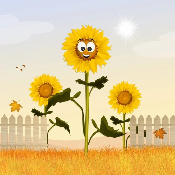 Sonnenblumenfeld Cartoon — Stockfoto