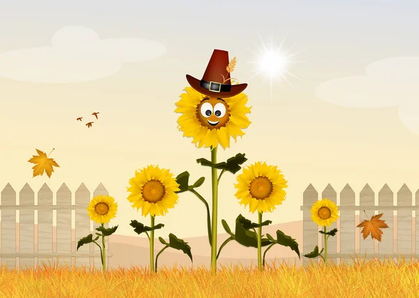 Kreslený pole slunečnic — Stock fotografie