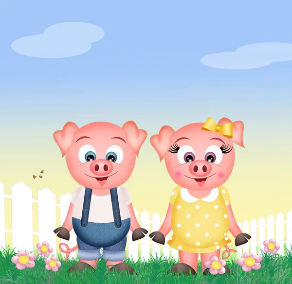 Pigs in the farm — Stock Photo, Image