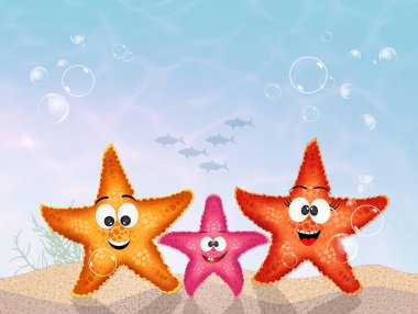 sevimli starfishes gösterimi