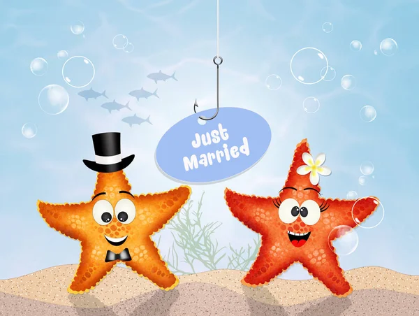 Starfishes düğün — Stok fotoğraf