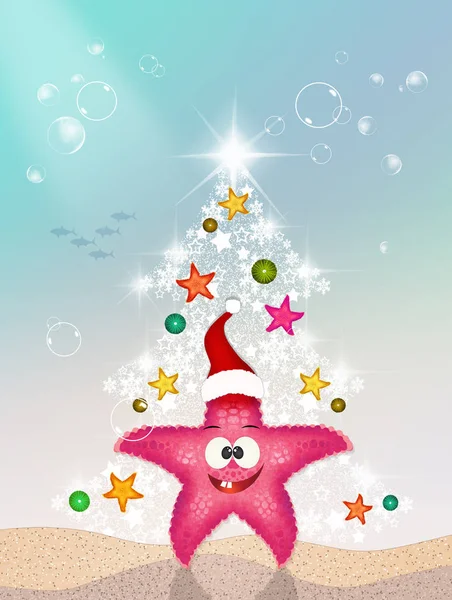 Hvězdice na Vánoce — Stock fotografie