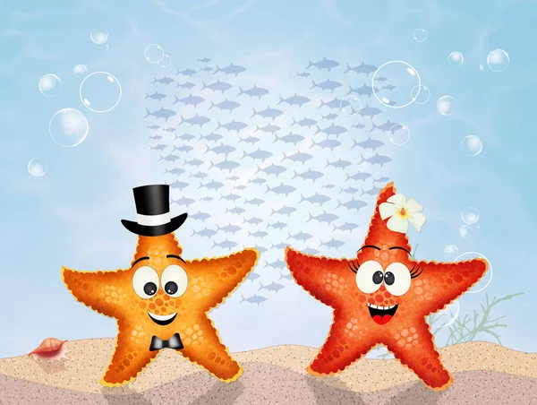 Starfishes v lásce v oceánu — Stock fotografie