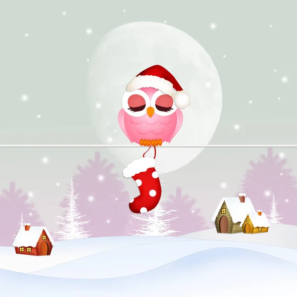 Owl with Christmas socks — Stock Photo, Image