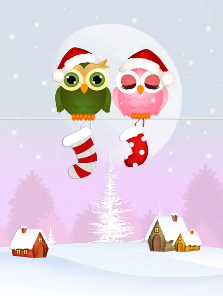 Owls at Christmas — Stock Photo, Image