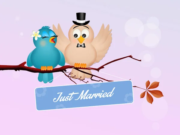 Wedding of birds — Stock Photo, Image