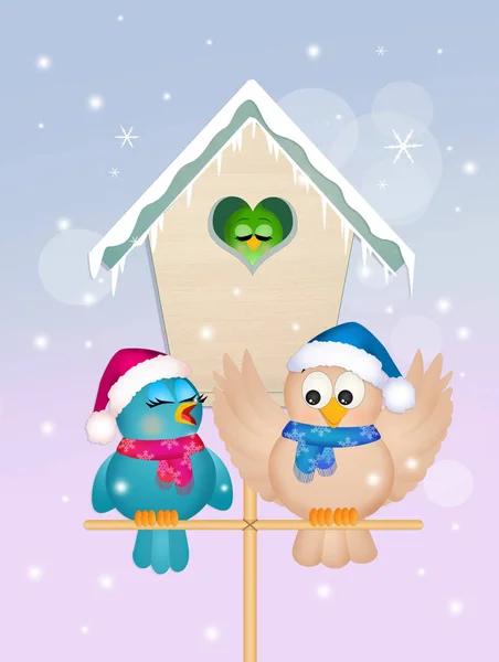 Familie van de vogels in de winter — Stockfoto