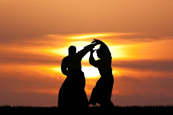 Gün batımında Aikido gösterisi — Stok fotoğraf