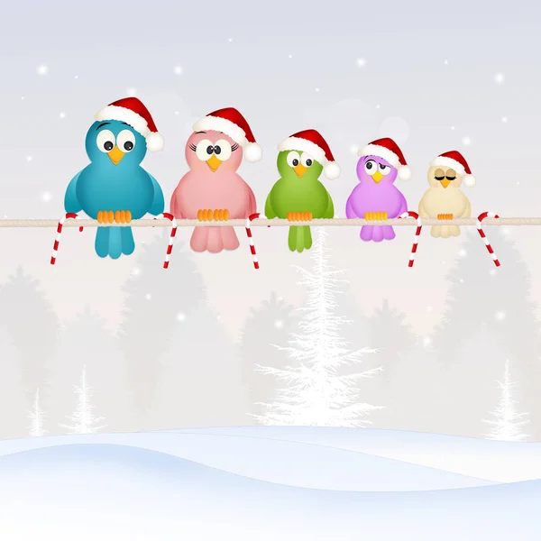 Família de pássaros no Natal — Fotografia de Stock