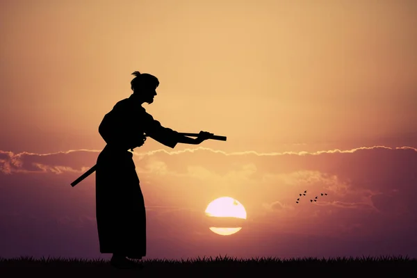 Pokaz Aikido, o zachodzie słońca — Zdjęcie stockowe