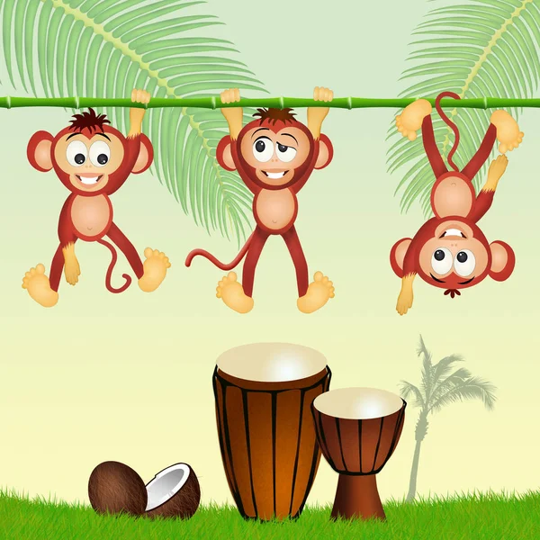 Macacos e tambores — Fotografia de Stock