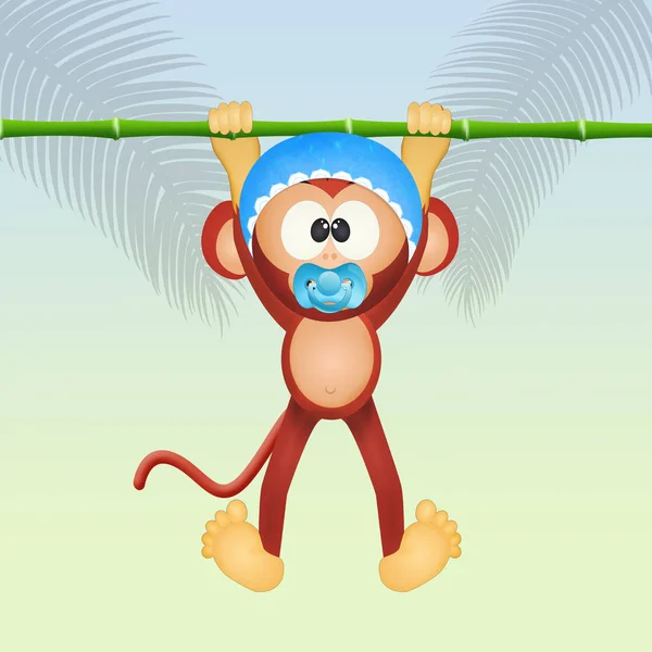 Baby male monkey — Stock Photo, Image