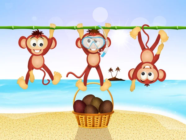 Monkeys on the beach — Stock Photo, Image