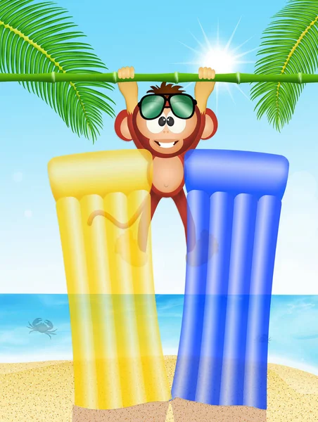 Monkey and inflatables mattress on the beach — Stock Photo, Image