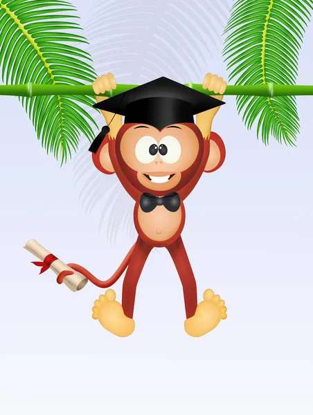 Legrační opice absolvent — Stock fotografie