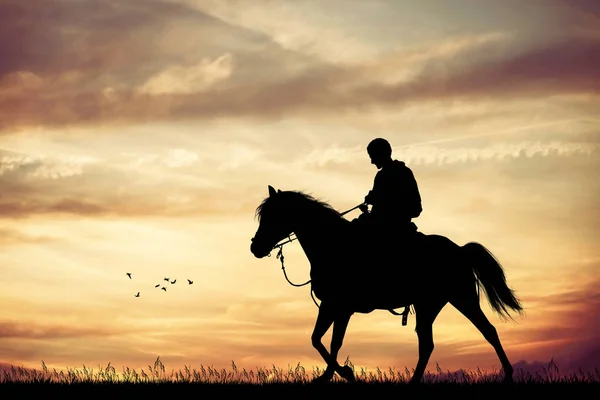 Человек на коне — стоковое фото
