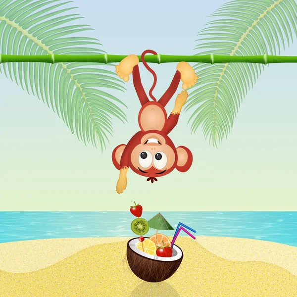 원숭이 코코넛에서 칵테일 — 스톡 사진