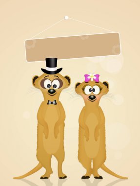 Fundalıklardır düğün