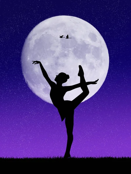 月明かりの下でダンスします。 — ストック写真
