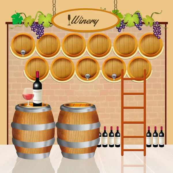 Illustration of wine barrels — Stock Photo, Image