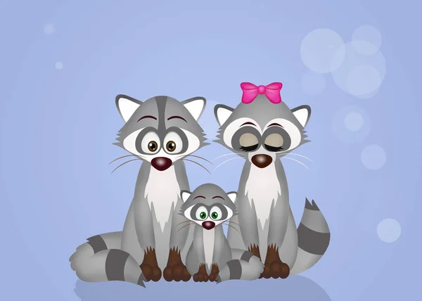 Cute raccoons family — Stock Photo, Image