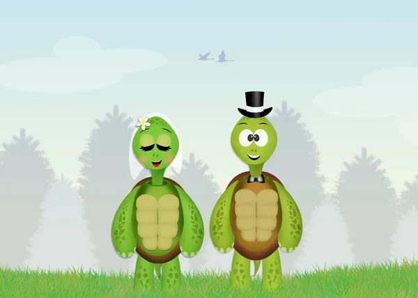 Illustration of turtles spouses — Stock Photo, Image