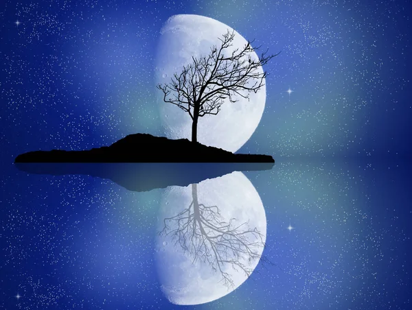 Tree in the mirror — Stock Photo, Image