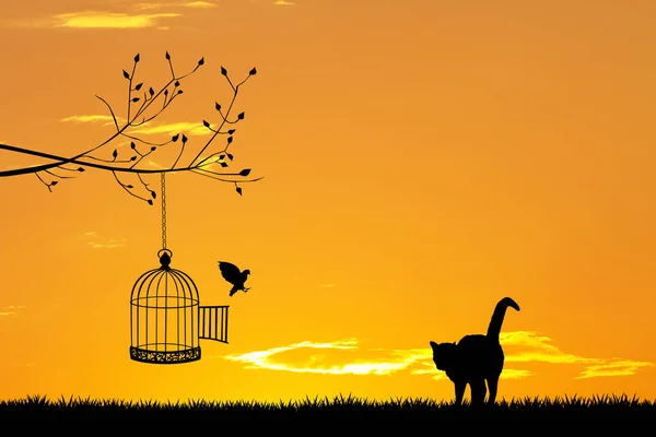 Cat and bird at sunset — Stock Photo, Image