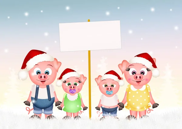 クリスマスに豚家族 — ストック写真