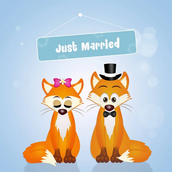 Wedding of foxes — Stock Photo, Image