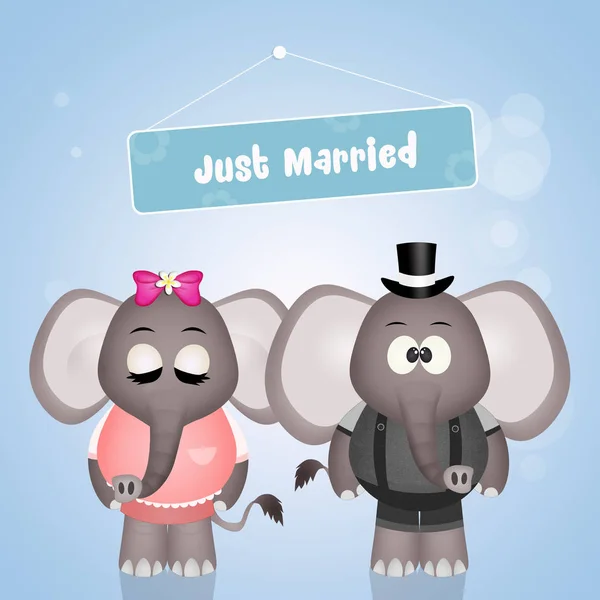 Mariage des éléphants — Photo